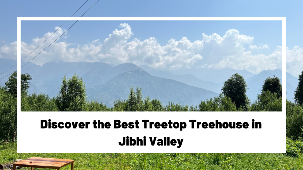 Best Treetop Treehouse in Jibhi Valley