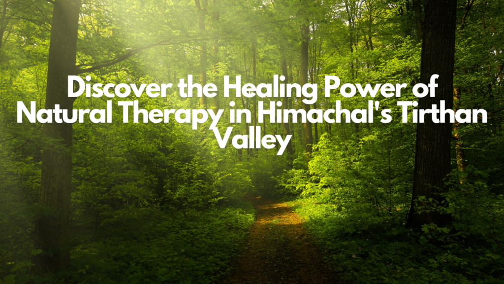 Discover the Healing Power of Natural Therapy in Himachal's Tirthan Valley